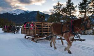 horse drawn sleigh